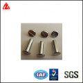 Galvanize female and male bolt carbon steel